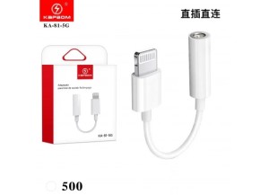 ADAPTADOR P2 P IPHONE