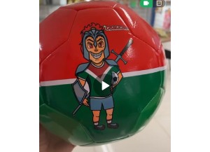 BOLA DE FUTEBOL N5 FLUMINENSE